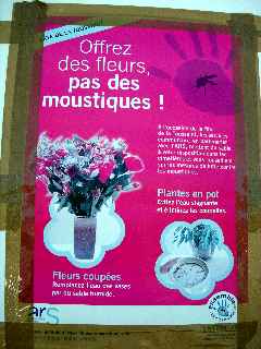 Offrez des fleurs, pas des moustiques !