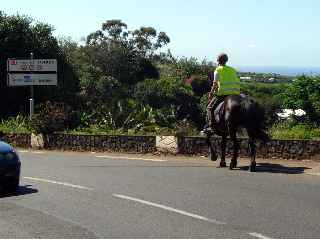 Equitation sur la Ligne des Bambous