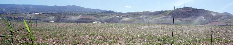 Bassin Plat, irrigation des champs de cannes