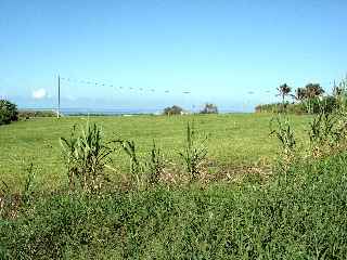 Pierrefonds, plantations de gazon