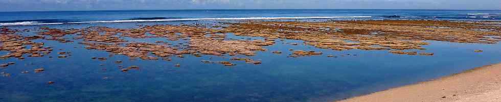 Lagon de St-Pierre - mare d'quinoxe