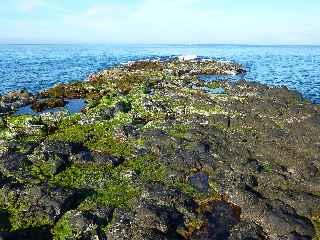 Pointe du Diable  mare basse - Extrmit recouverte