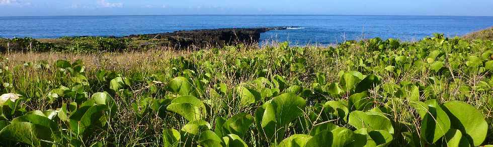 Pointe du Diable et patate  Durant