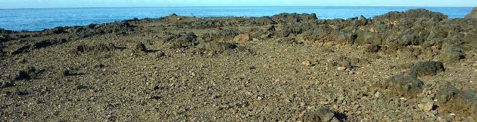 Pointe du Diable  mare basse