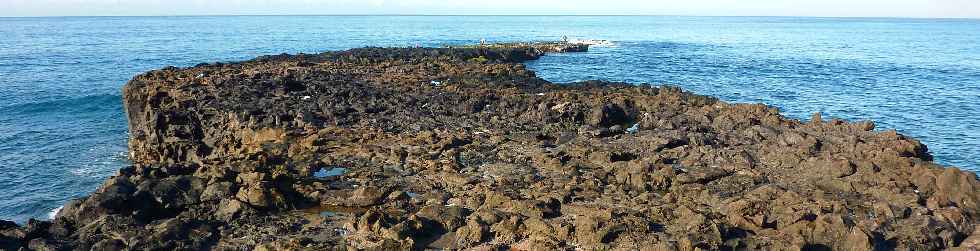 Pointe du Diable  mare basse