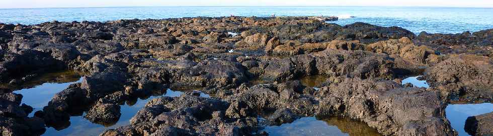 Pointe du Diable  mare basse