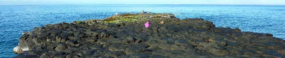 Pointe du Diable  mare basse - Extrmit