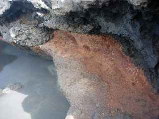 Pointe du Diable - Couche d'argile cuite