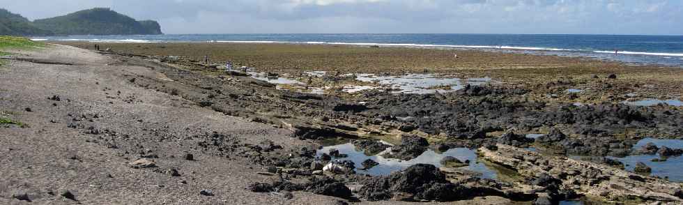 Plage de Grands Bois  mare basse