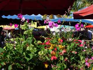 St-Pierre - March aux fleurs