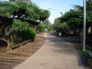 Saint-Pierre - Jardins de la plage