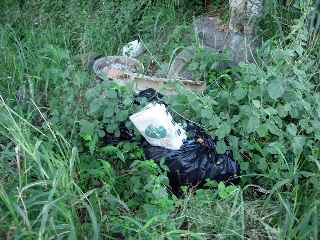 Ravine Blanche - Chemin Cadet - Dtritus