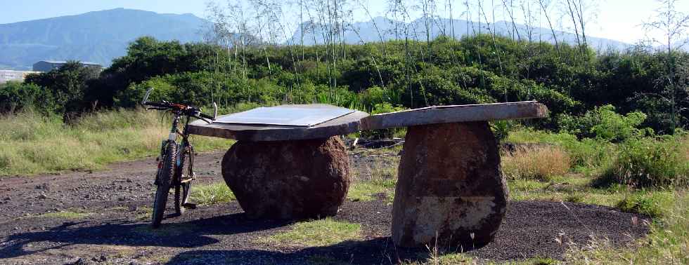 Cap Rond - Gol Matisse - Panneaux