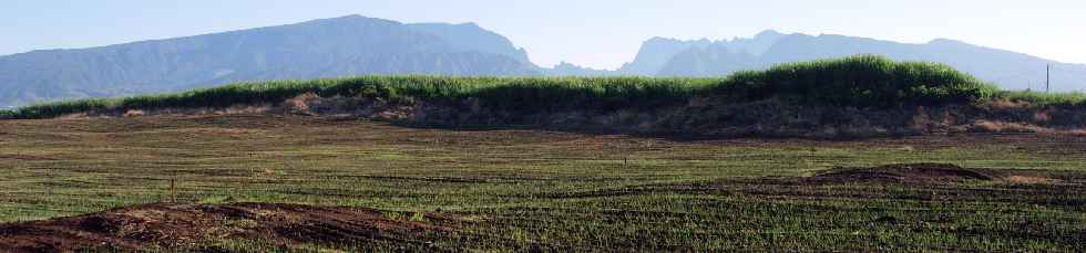 Vers les Hauts, du Chemin Badamier