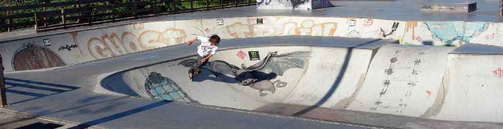 Skate Park de la Ravine Blanche