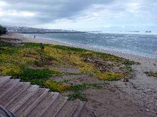 St-Pierre -Plage - baignade interdite - Houle de juillet 2011 -