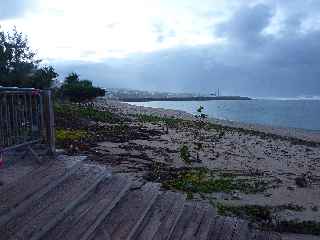 St-Pierre - 4 août 2011 - Grande houle - Jardins de la plage