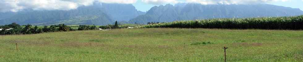 Ligne Paradis - Herbages