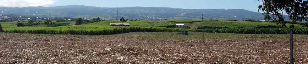 Ravine des Cabris - Chemin Recherchant - Vers les Hauts