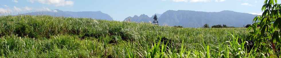 Chemin Priassamy - Ligne Paradis