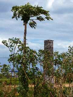 Chemine Mon Repos 2 - Saint-Pierre