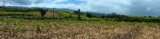 Chemin�e de Mon Repos 2