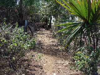 Sentier pitonnier  Basse Terre - Quatre-voies vers Le Tampon