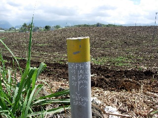 Ligne Paradis - Champ de cannes -  Point d'eau d'irrigation SAPHIR