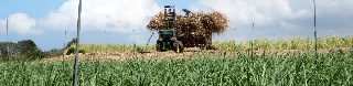 Chargement d'une remorque