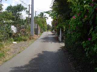 Ligne des Bambous - Chemin Priassamy