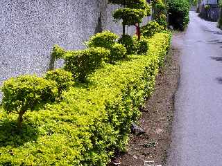 Ligne des Bambous - Chemin Priassamy