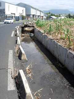 Chemin Badamier - Canal latral