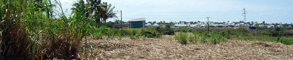 St-Pierre - Ligne Paradis et ZAC Canabady