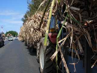 File d'attente des tracteurs dans le Chemin de Bassin Plat