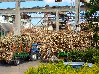 Saint-Louis - Usine du Gol - Novembre 2011 -