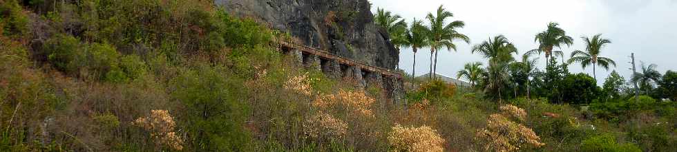 Bras de Cilaos - Canal des Alosi - Novembre 2011