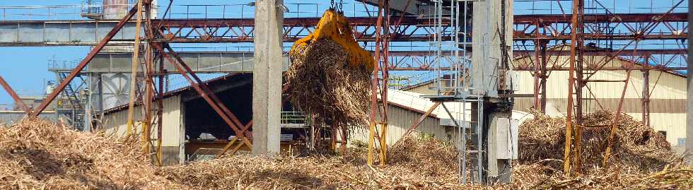 Saint-Louis - Usine du Gol - Novembre 2011 -