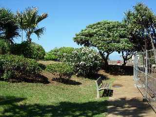 Jardins de la plage - St-Pierre -