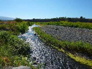 Bras d'eau dans le lit de la Rivire Saint-Etienne