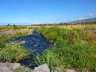 Bras d'eau dans le lit de la Rivire Saint-Etienne