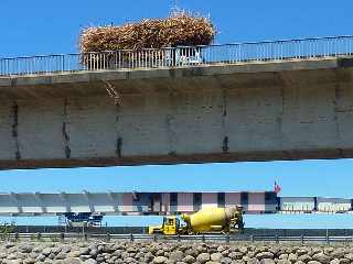 29 novembre 2011 - Chantier du pont sur la Rivire St-Etienne - Lanage du tablier sur la P6