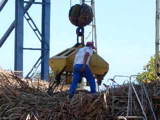 Casernes - St-Pierre - Dchargement d'une remorque charge de cannes