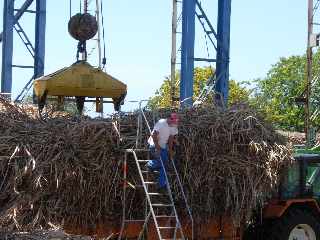 Casernes - St-Pierre - Dchargement d'une remorque charge de cannes