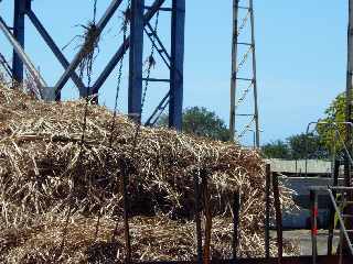 Casernes - St-Pierre - Dchargement d'une remorque charge de cannes