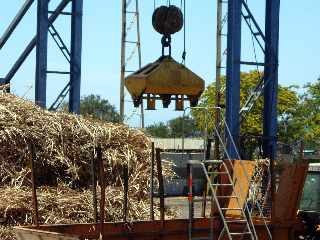 Casernes - St-Pierre - Dchargement d'une remorque charge de cannes