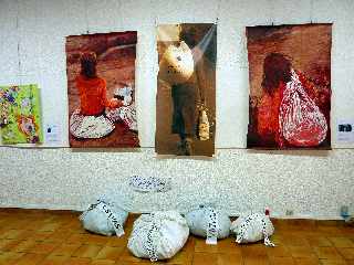 Mdiathque de Saint-Pierre - Runion -  Expo pour l'Egalit