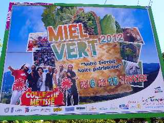 Pub Miel Vert 2012