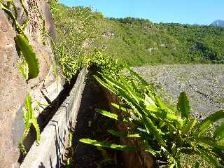 Bras de Cilaos -  Canal des Aloès vers l'amont - Cactus