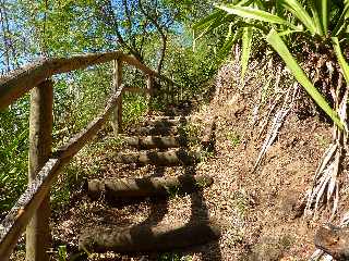 Bras de Cilaos -  Canal des Alos - Escalier vers la rue Verval