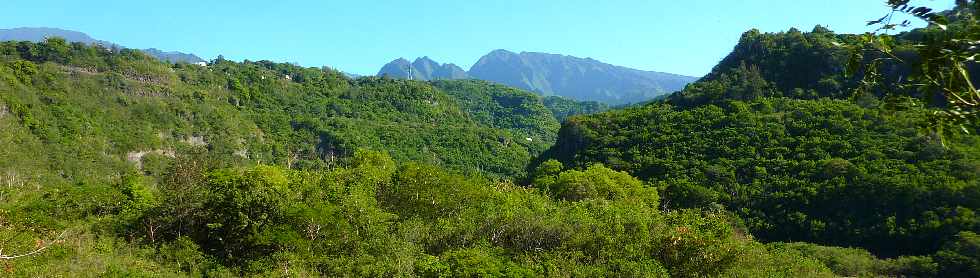 Bras de Cilaos - Massif des Salazes